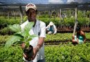 Ceará supera R$ 980 mil em contratos com pequenos empreendedores